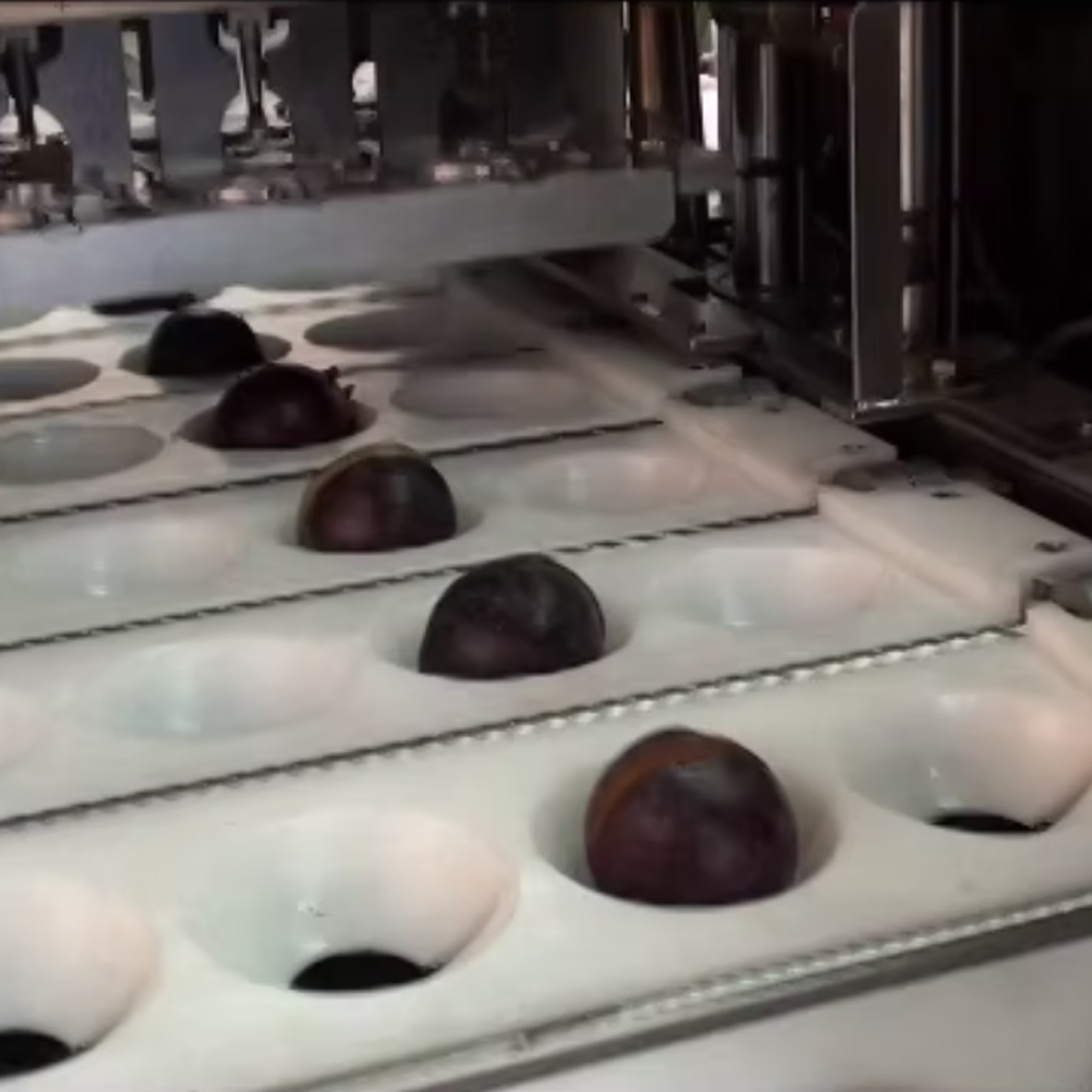 Formati Speciali per denocciolatrici per pesche