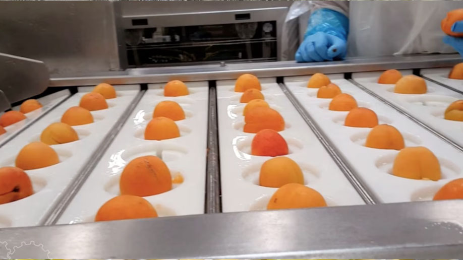 Apricot format on K8 & K7 peach pitters