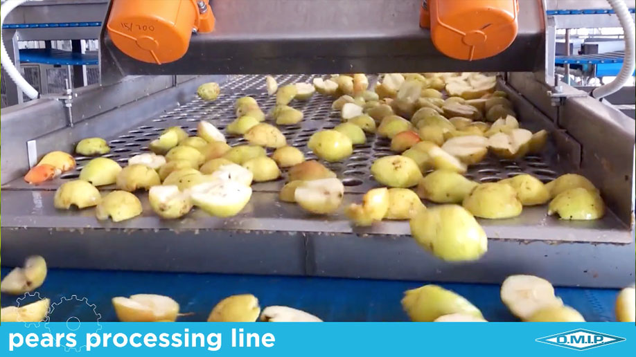 Pears Processing Line